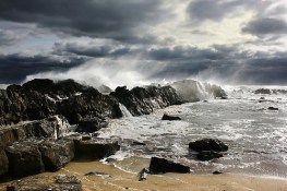 6005585081_59af7f9f25