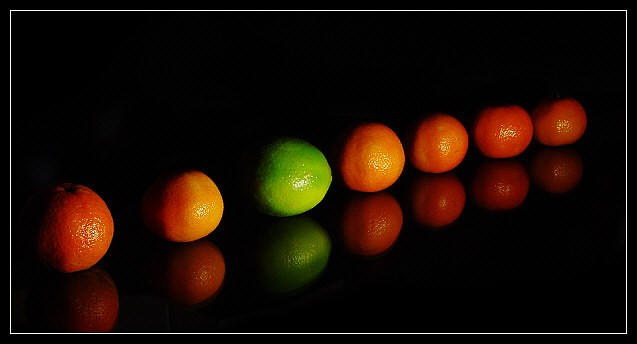 the-non-conformist-dsc06353