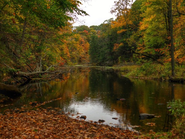 15559050601_6ece1487ba_o